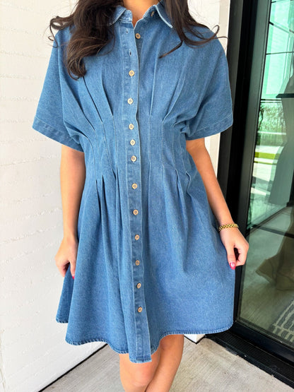 Delta Lyn Denim Dress