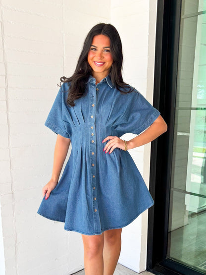 Delta Lyn Denim Dress