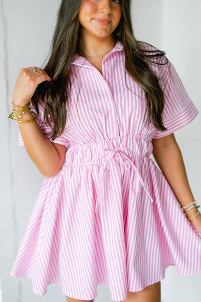 Paris Pink Striped Dress